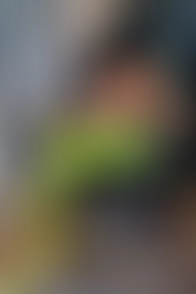 Nur für Club-Mitglieder sichtbar