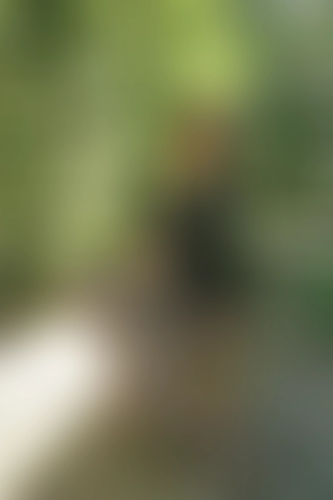 Nur für Club-Mitglieder sichtbar