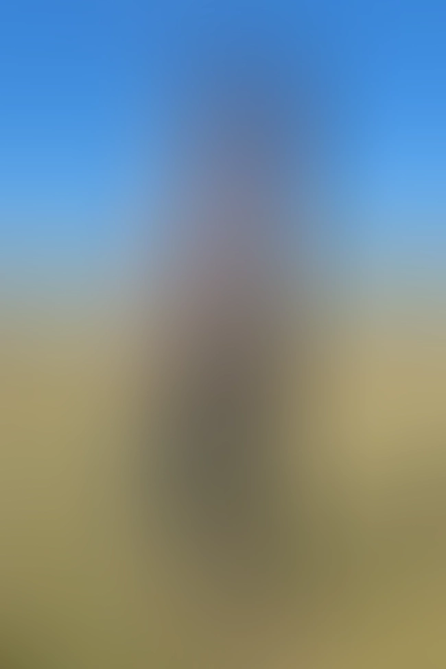 Only for VIP-Customers visible