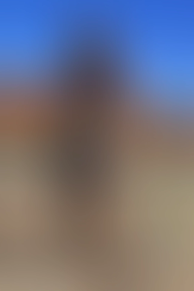 Only for VIP-Customers visible