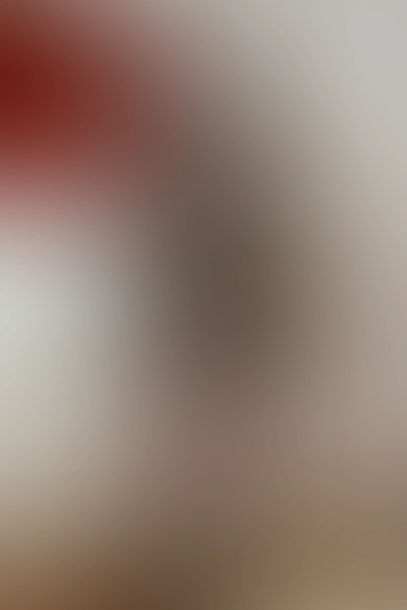 Only for VIP-Customers visible