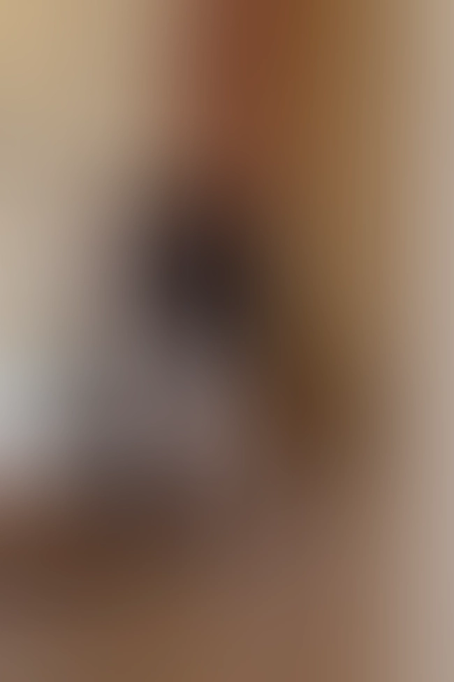 Nur für Club-Mitglieder sichtbar