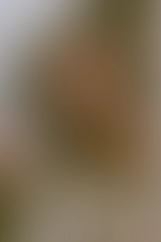 Nur für Club-Mitglieder sichtbar