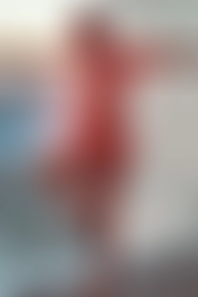 Only for VIP-Customers visible