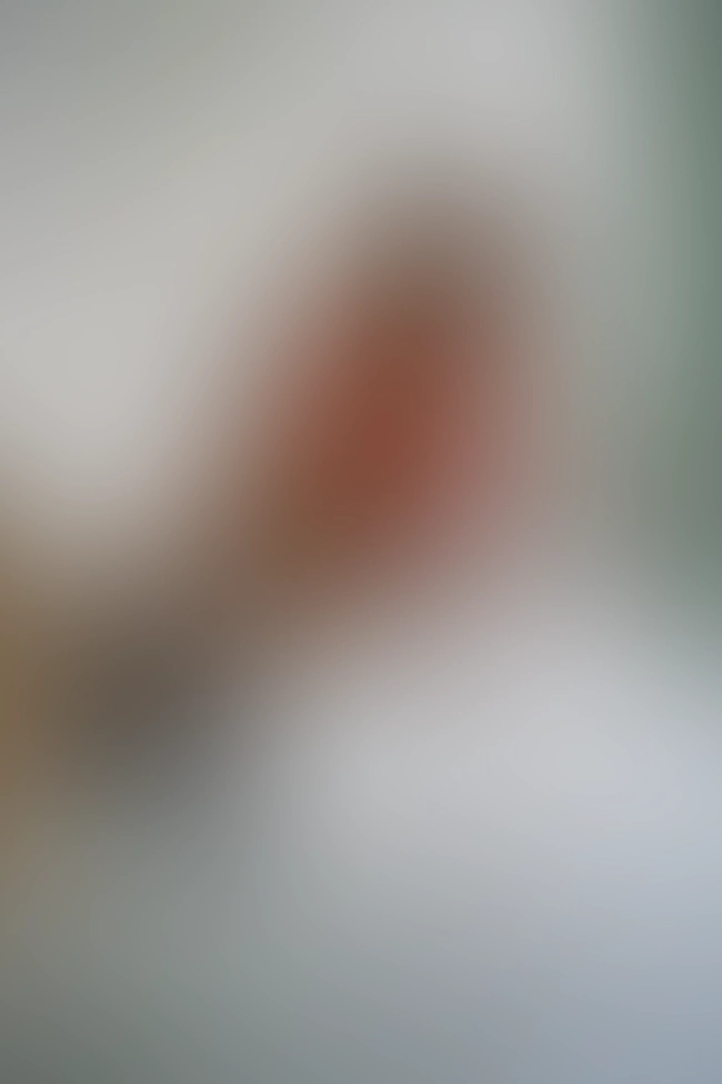 Only for VIP-Customers visible