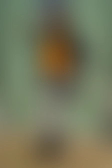 Only for VIP-Customers visible