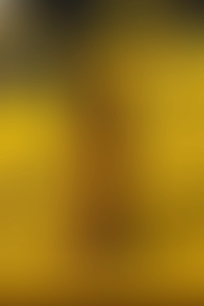 Only for VIP-Customers visible