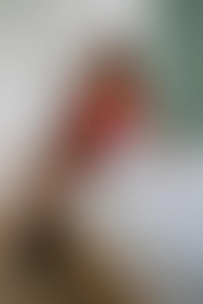 Only for VIP-Customers visible