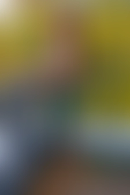 Only for VIP-Customers visible