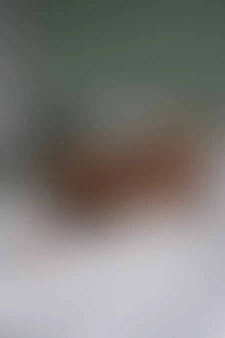 Only for VIP-Customers visible