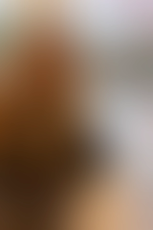 Nur für Club-Mitglieder sichtbar