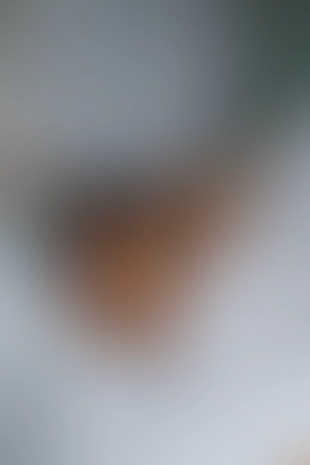 Nur für Club-Mitglieder sichtbar