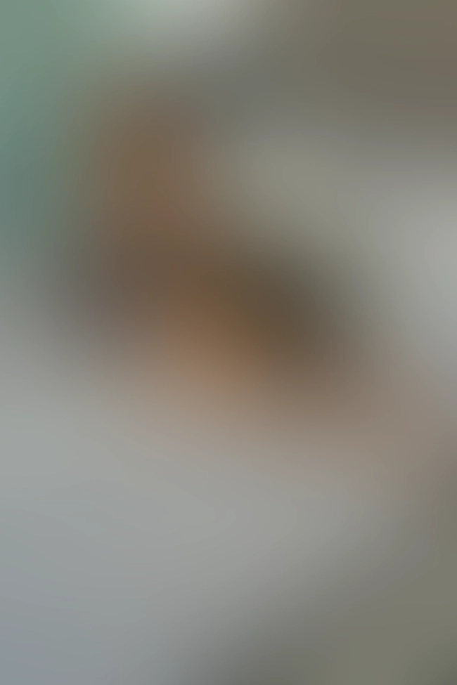 Nur für Club-Mitglieder sichtbar