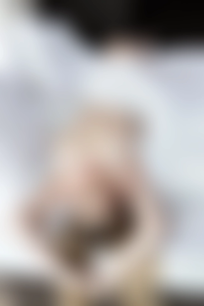 Only for VIP-Customers visible