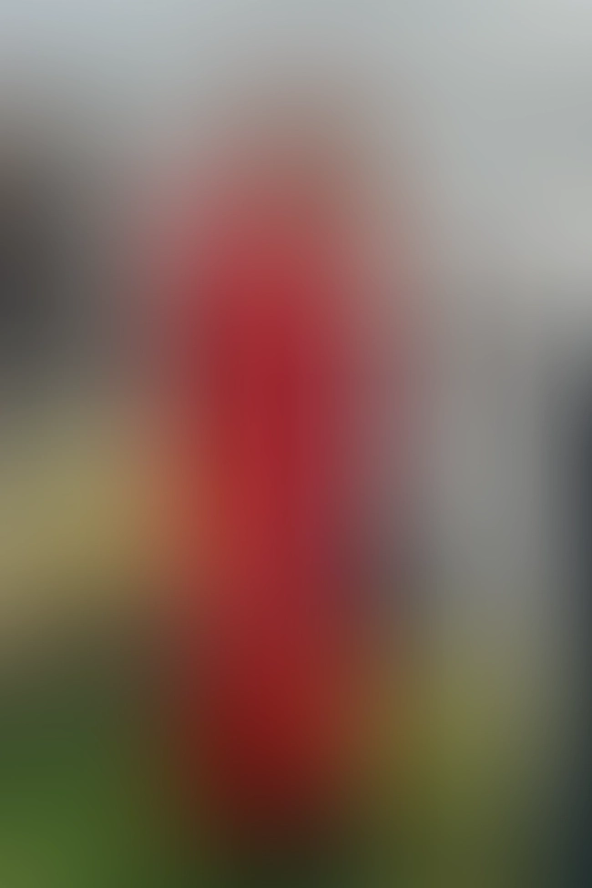 Nur für Club-Mitglieder sichtbar