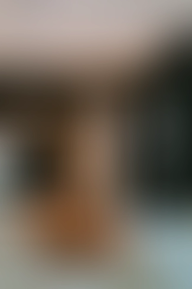 Only for VIP-Customers visible